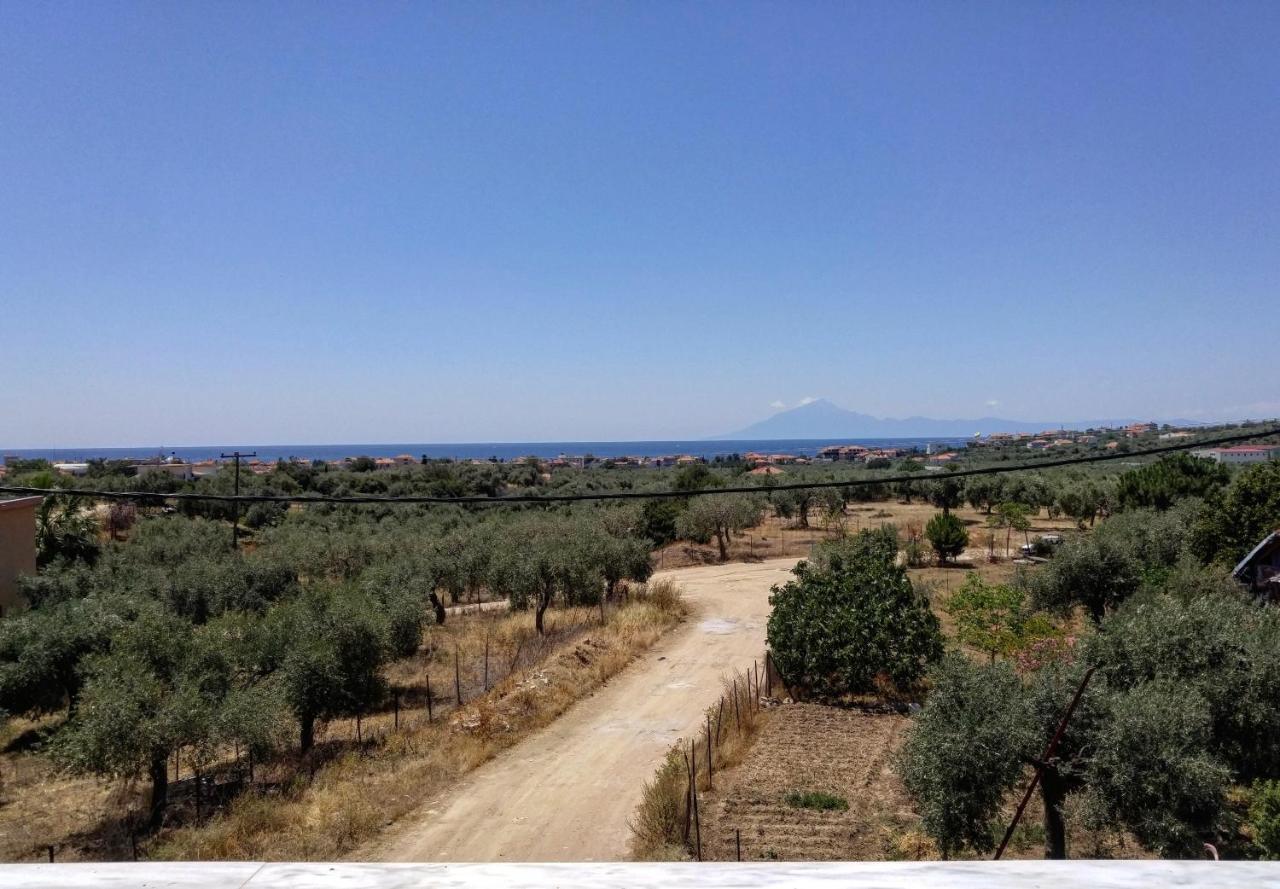 דירות לימנריה Olive Grove House מראה חיצוני תמונה