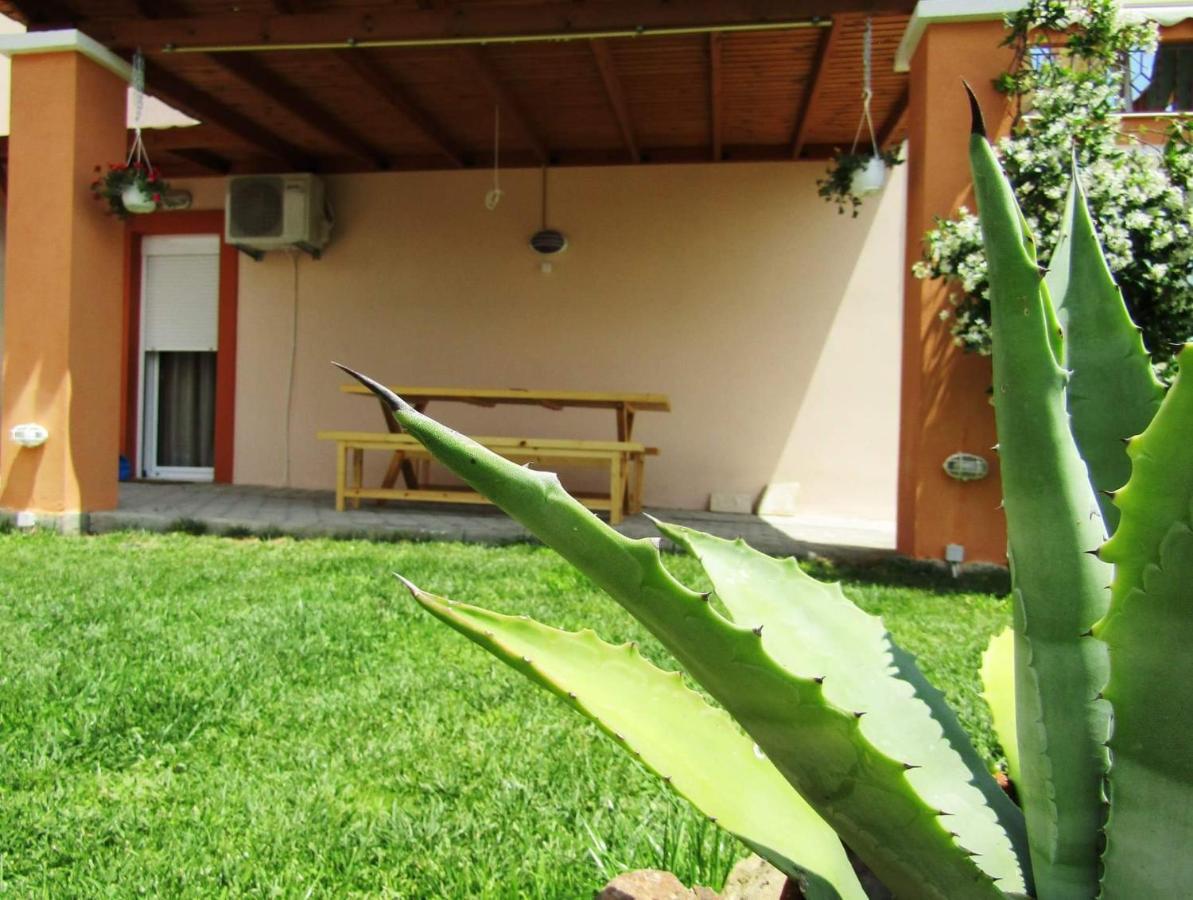 דירות לימנריה Olive Grove House מראה חיצוני תמונה
